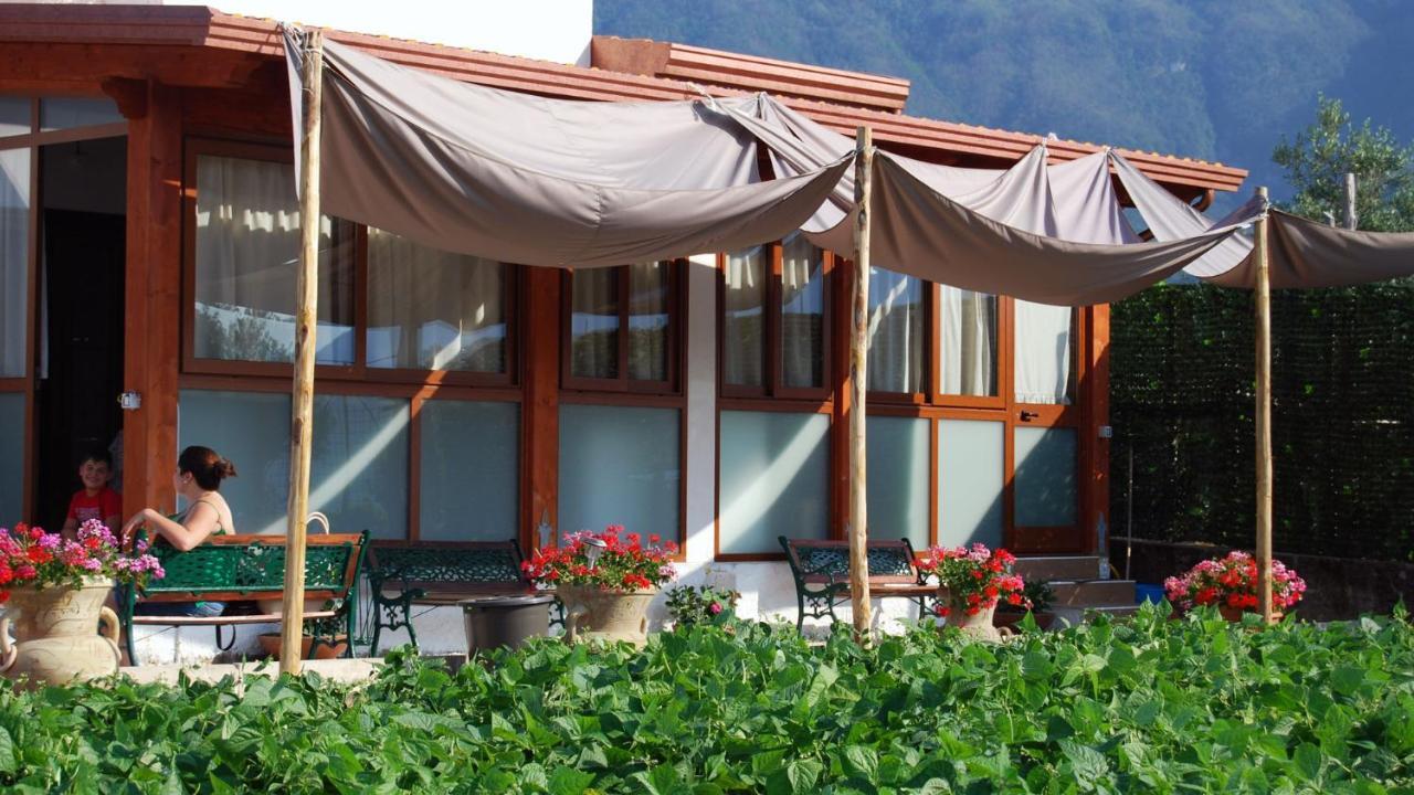 Madre Terra Villa Pimonte Eksteriør billede